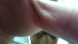 loris9993  07-12-2020